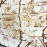 Roman Impression Quartzite