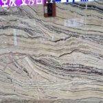 Jurassic Traonyx Slab