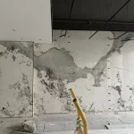 Patagonya Sinterlenmiş Taş Duvar