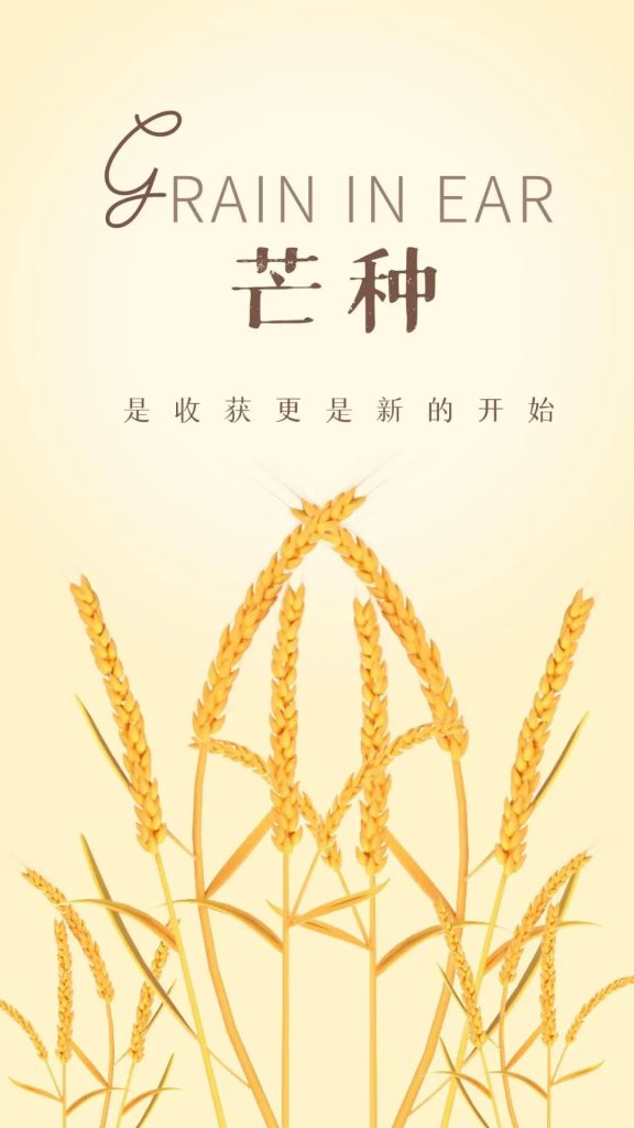 Grain in Ear