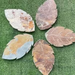 Tremplins en forme de feuilles