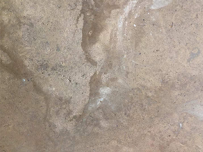 Saina Gold Limestone natural surface texture and warm tonal variation